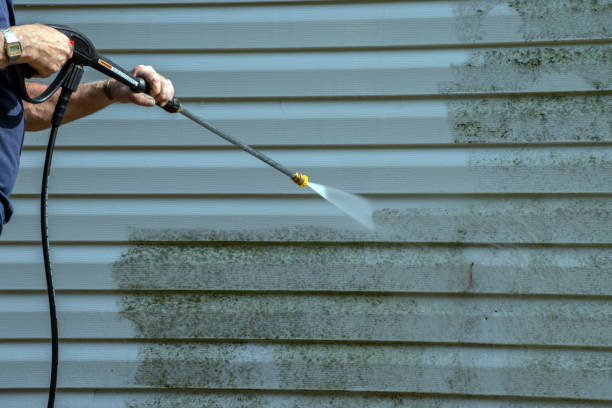 Best Roof Washing  in Plymouth, PA